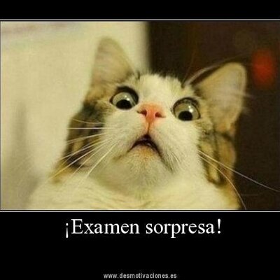 Profile Picture of Ariel Cardona (@CardonaAriel) on Twitter