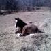 Profile Picture of Chris Hadaway (@caroldumas39) on Pinterest