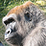 Profile Picture of Mark Rose (@blueiguy64) on Flickr