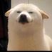Profile Picture of Matthew Choo (@matthew.choo.501) on Facebook