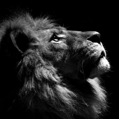 Profile Picture of Nathan Harvell (@NathanHarvell) on Twitter