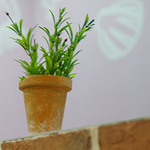 Profile Picture of Tim Lopez (@el_tim1) on Flickr