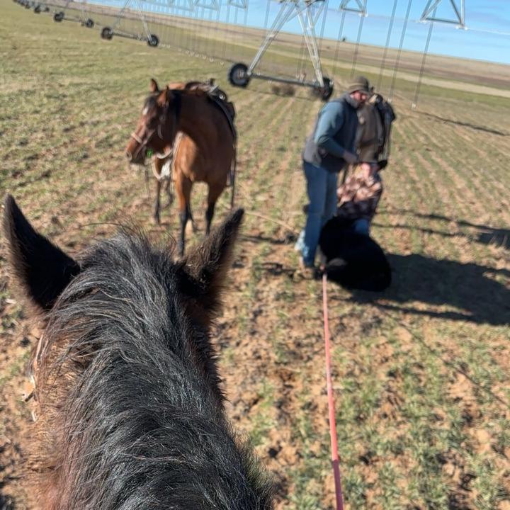 Profile Picture of Kevin Pearson (@kevinpearson58) on Tiktok