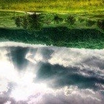 Profile Picture of DEIDRA (@mnewton40jame) on Instagram