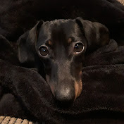 Profile Picture of Daniel Bowen (@DanCKBowen) on Youtube