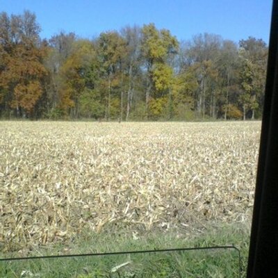 Profile Picture of Patrick Litchfield (@oshea48) on Twitter