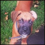 Profile Picture of Dave Gunter (@dubbice) on Instagram