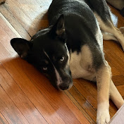 Profile Picture of RICHARD SCHULTZ (@Cubsj) on Youtube