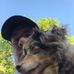 Profile Picture of Scott Roush (@scott.roush.52) on Facebook