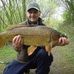 Profile Picture of William Cockerill (@william.cockerill) on Facebook