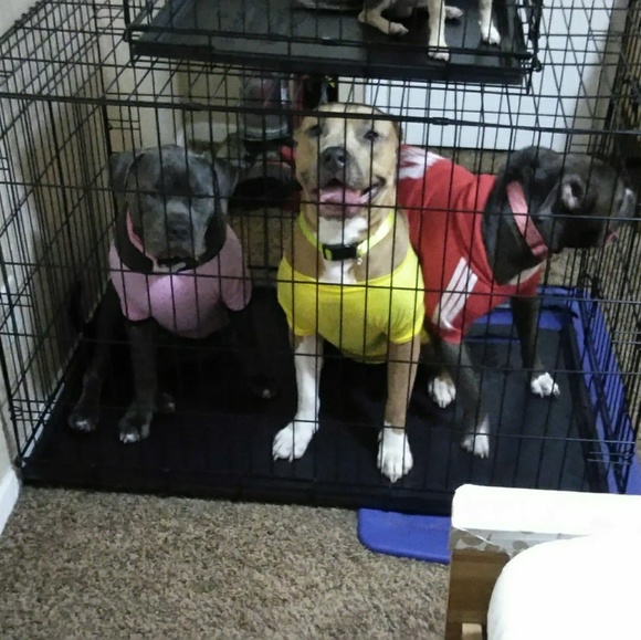 Profile Picture of Jahnny Martinez (@jahnnymartinez) on Poshmark