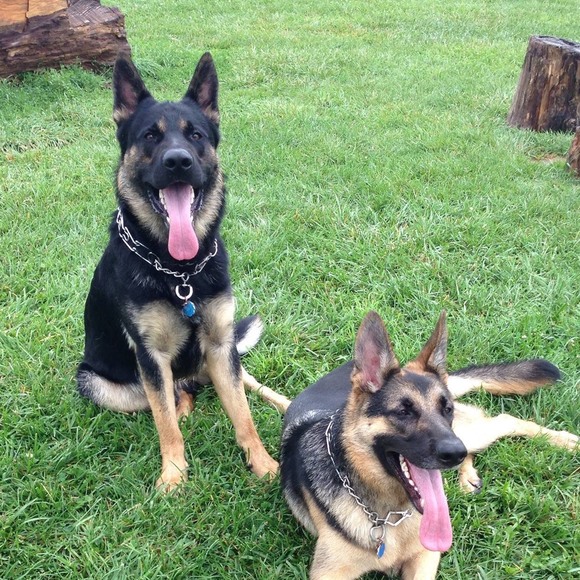 Profile Picture of Philip Linder (@philipclinder) on Poshmark