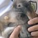 Profile Picture of JohnShen Petshop (@johnnell.esquivel.9) on Facebook