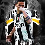 Profile Picture of Alex Cirelli (@cirelli.alex) on Instagram