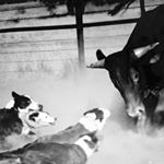 Profile Picture of Braden Thomas (@brado_1995) on Instagram