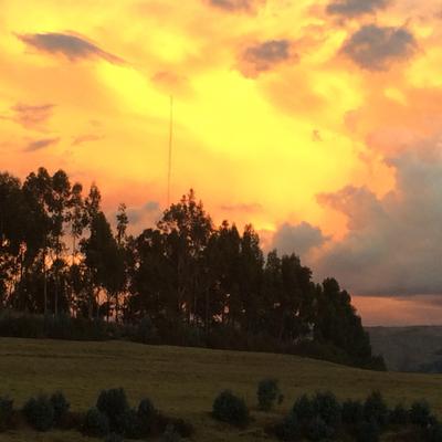 Profile Picture of Joe Farfan (@joe_joefarfan) on Twitter