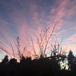 Profile Picture of Mark Kumphet (@markkumphet) on Instagram