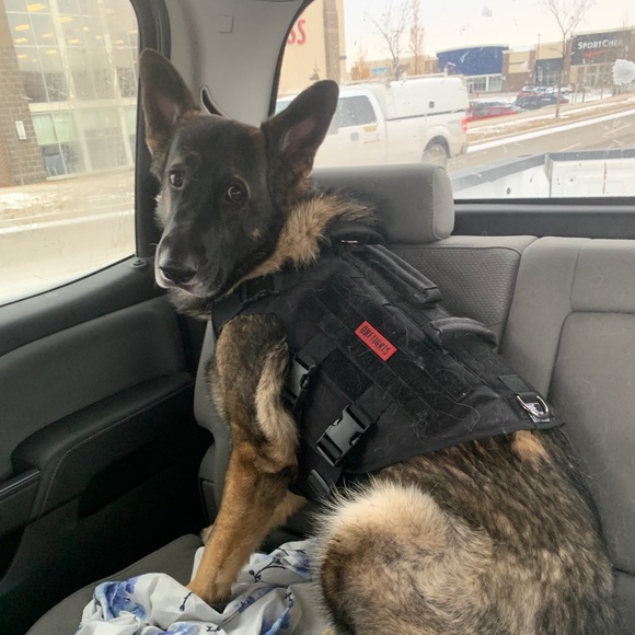 Profile Picture of Jeff Schaller (@jeffschaller11) on Poshmark