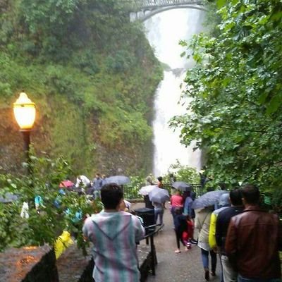 Profile Picture of Gabriel Bartlett (@goshdangsage) on Twitter