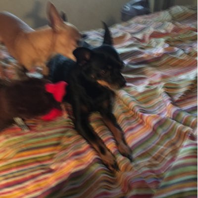 Profile Picture of Beverly Thompson (@Beverly23289100) on Twitter