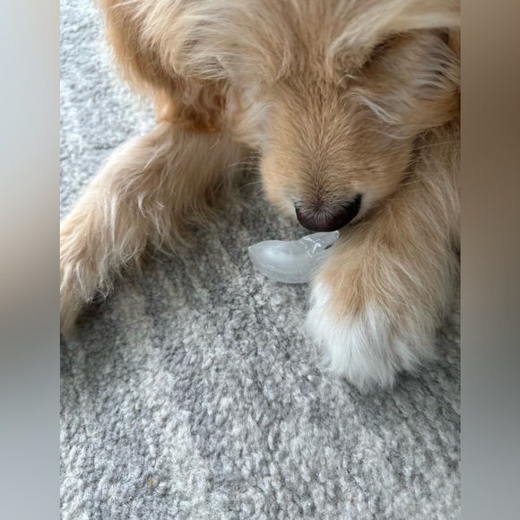 Profile Picture of Patrick Mazzuca (@pmazzuca) on Poshmark