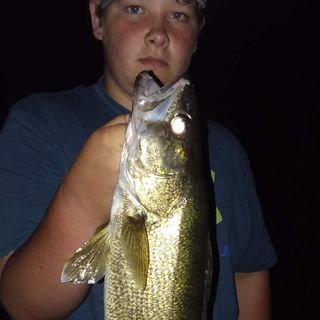 Logan Neal - Facebook Profile Picture of Logan Neal (@logan.neal.106) on Facebook