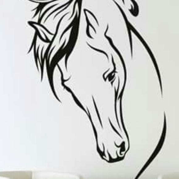 Profile Picture of Joseluis Galindo-urzua (@jgalindo1971) on Poshmark