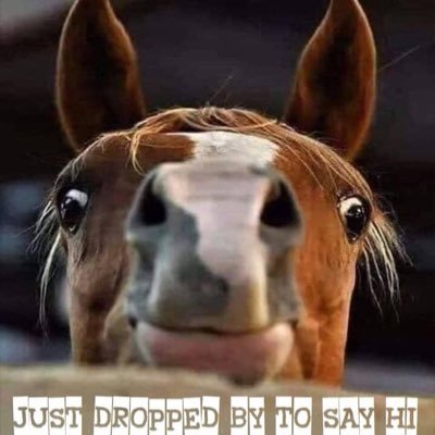 Profile Picture of Lisa Woolley (@lisawoo17784320) on Twitter