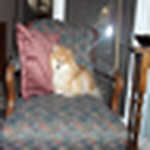 Profile Picture of David Moss-cornett (@mossyimages) on Flickr