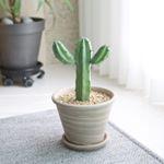 Profile Picture of 전혜경 (@hee_gi) on Instagram