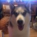 Profile Picture of Craig Gregory (@craig.gregory.77) on Facebook