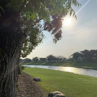 Profile Picture of Kelly Chun (@chun.kelly) on Instagram