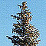 Profile Picture of Resu Munilla (@resu munilla) on Flickr