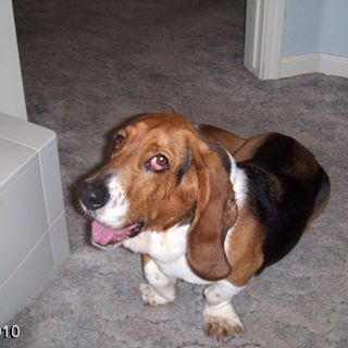 Profile Picture of Keith Kircher (@keith.kircher.9) on Facebook