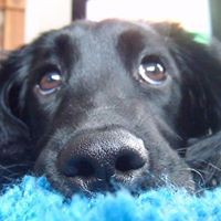 Profile Picture of Julia Mcgrath (@julia-mcgrath-25) on Quora