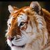 Profile Picture of Anne McCafferty (@anne.mccafferty.5454) on Facebook