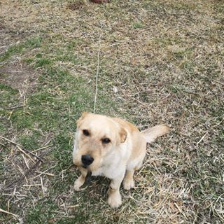 Profile Picture of Keith Dallaire (@keith.dallaire.10) on Facebook