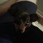 Profile Picture of Sylvain Lemieux (@silkky.panda) on Instagram