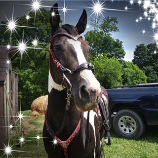 Profile Picture of Christine Sumner A (@christine.a.9) on Facebook