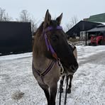 Profile Picture of Makayla Hughes (@Makayla-Hughes) on Facebook