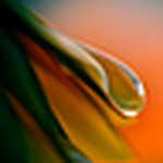 Profile Picture of ξмǾs *❥* Hαηã (@ξмǾs *❥* hαηã) on Flickr