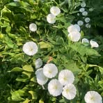 Profile Picture of John Schermack (@John-Schermack-61550592575155) on Facebook