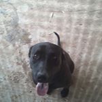 Profile Picture of Casey Barr (@casey.barrera.581) on Instagram