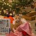 Profile Picture of Wendy Price (@wendy.price.5) on Facebook
