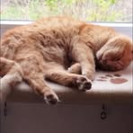 Profile Picture of Alice Mallet (@Alice-Mallet) on Facebook