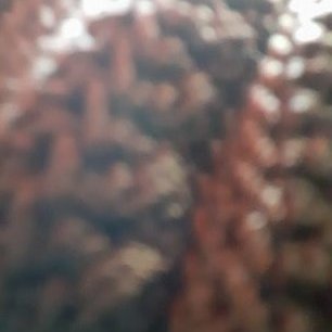 Profile Picture of Nancy Regnier (@NancyRegnier3) on Twitter