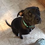 Alice B - Instagram Profile Picture of Alice B (@alicebeyoncewoody) on Instagram