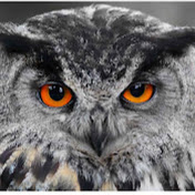 Profile Picture of John Frederick (@fredericktactical) on Youtube