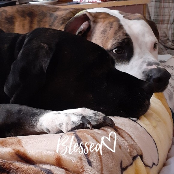 Profile Picture of Kimberly Holecheck (@k_holecheck) on Poshmark