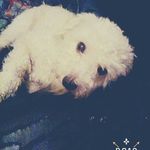 Profile Picture of Nancy Ediht Choinet (@nancyedihtchoinet) on Instagram